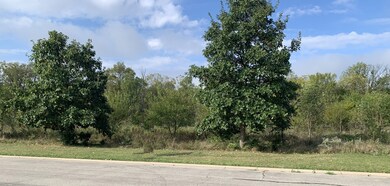 7103 Fitkins Dr, Oswego, IL 60543 - photo 3