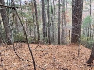 Lot 1375 Lyric Ln, Ellijay, GA 30540 - photo 7