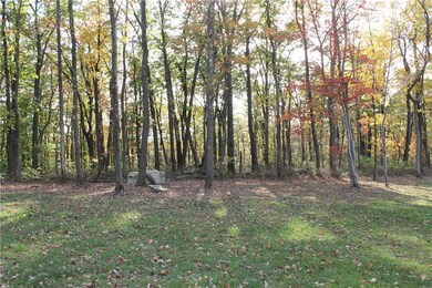 This one whole side of the lot is bordered by Forb