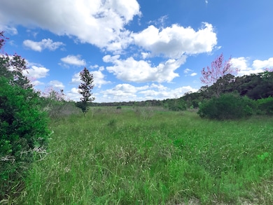 W C 48, Bushnell, FL 33513 - photo 5