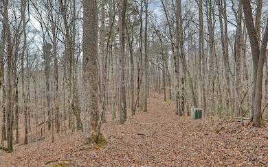 Additional View