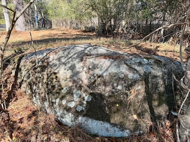 4724 Canterbury Ln, Evans, GA 30809 - photo 5