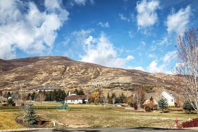 1005 S Cascades Fall Cir Lot-004-006-Cas