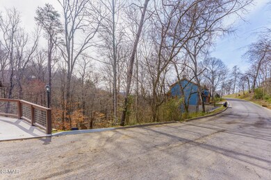 0 Maggie MacK Ln unit 304403, Sevierville, TN 37862 - photo 3