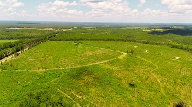 Lot 1 3 Notch Rd, Monetta, SC 29105 - photo 7