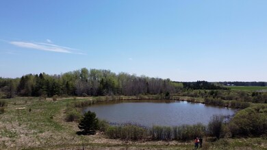 Pond 1