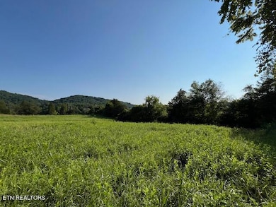 7662 Haws Rd unit 2, Knoxville, TN 37920 - photo 4