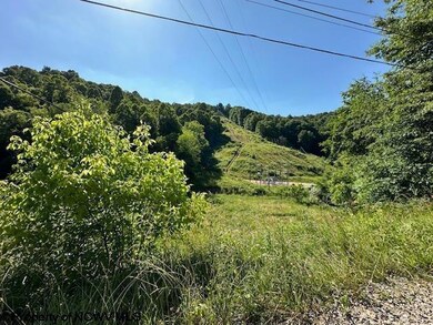 326 Joes Run Rd, Mannington, WV 26582 - photo 2