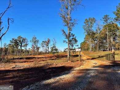 0 County Road 222 unit 10651832, Lanett, AL 36863 - photo 2