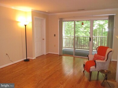 131 Timberbrook Ln unit 103, Gaithersburg, MD 20878 - photo 6