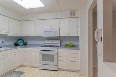 Eagle Point Condominiumns unit 202, Niles, IL 60714 - photo 3