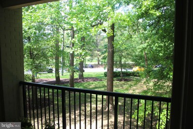 1101 Primrose Ct unit 203, Annapolis, MD 21403 - photo 6