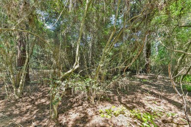 00 Warbler Way, Holly Springs, TX 77447 - photo 3