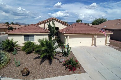Yucca02