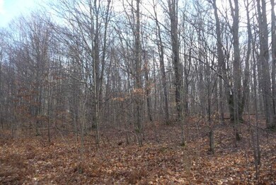 Forester Property