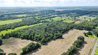 A Rare Louisiana Gem