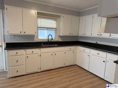 305 Tec Rd, Cheraw, SC 29520 - photo 5