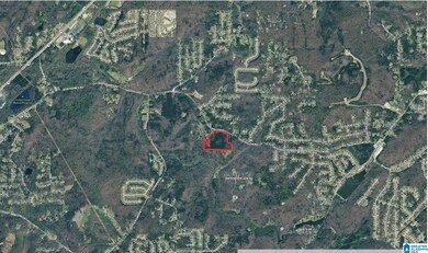 5317 Dug Hollow Rd, Pinson, AL 35126 - photo 5