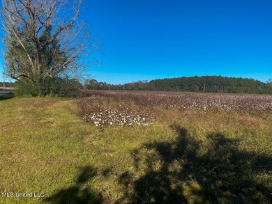 5.25 Ac Sally Parker Rd, Lucedale, MS 39452 - photo 4