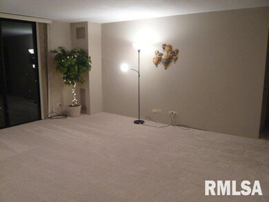 Summit Ridge Condominiums unit 4-C, East Moline, IL 61244 - photo 4