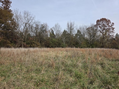 1280 Walnut Grove Rd, Newark, AR 72562 - photo 2