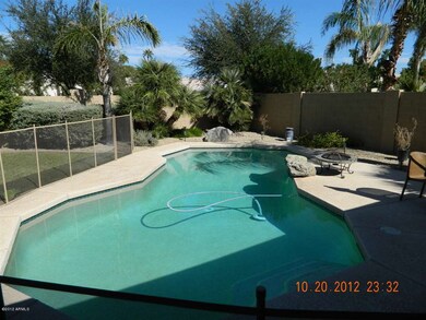 Your Private Backyard Pool