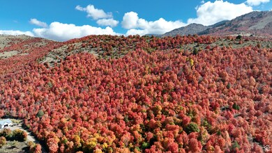 3597 S Mountain Meadows Dr unit 15, Franklin, ID 83237 - photo 2