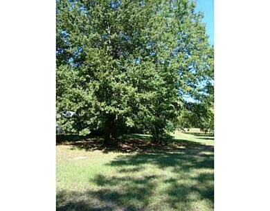 0 Trinity Church Rd, Pineville, LA 71360 - photo 5