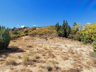 Of the Lot2
