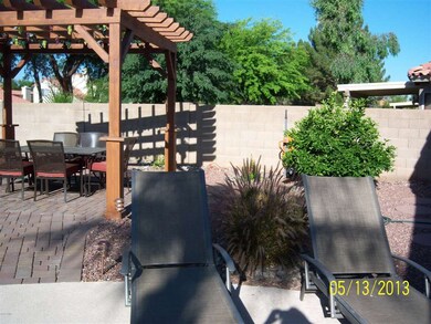 Resort Style Backyard