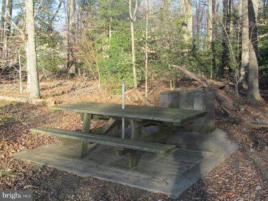 8151 Haven St, Denton, MD 21629 - photo 5