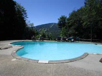 8 Post Oak Rd unit Birch Hill Coop, Winhall, VT 05340 - photo 2