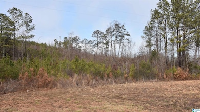 0 Renfroe Rd unit 21407810, Talladega, AL 35160 - photo 4