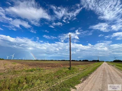 10 Ac (Tr 1) Primrose Rd, Lyford, TX 78569 - photo 5