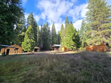 441 Red Blanket Rd, Prospect, OR 97536 - photo 4