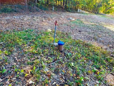 2447 Landers Rd, Nixa, MO 65714 - photo 2