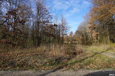 00 Lazy Acre Rd, Salem, IL 62881 - photo 5