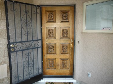 Front Door w/Secuirty Decorative Screen