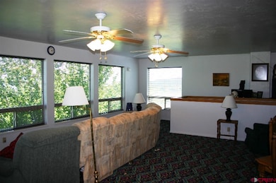 2225 Rd, Cedaredge, CO 81413 - photo 7