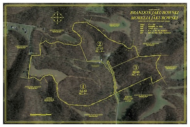 1420 White Hollow Ln, Lafayette, TN 37083 - photo 2