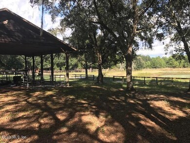 More View of the Land