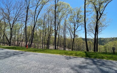 Additional View