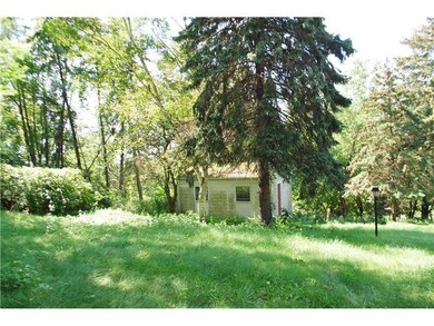 Yard/Garden.