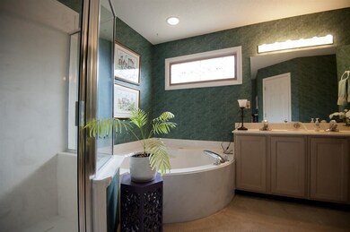 Separate Tub and Shower
