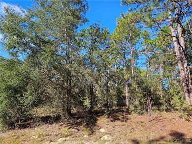 10970 N Dragonis, Citrus Springs, FL 34433 - photo 4