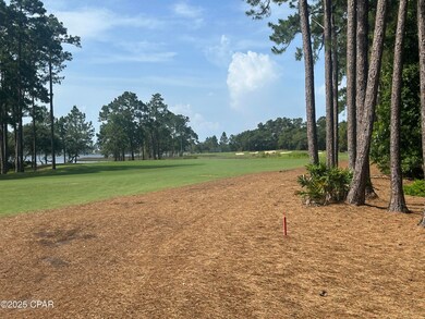 1401 Turtleback Trail, Panama City Beach, FL 32413 - photo 7