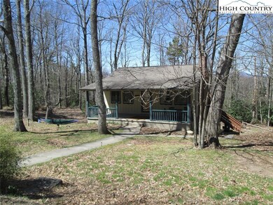 834 Little Laurel Rd, Boone, NC 28607 - photo 4