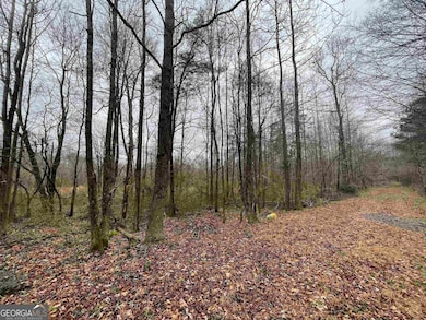 0 Holiness Campground Rd unit 10648171, Cleveland, GA 30528 - photo 6