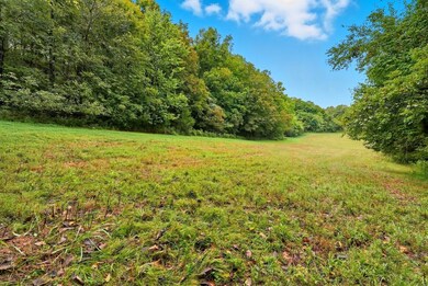 1907 Burke Hollow Rd, Nolensville, TN 37135 - photo 2