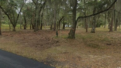 View of local wilderness